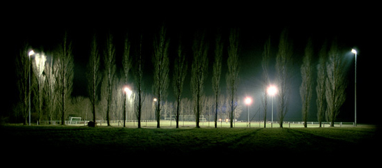 Green Fields - Ersen