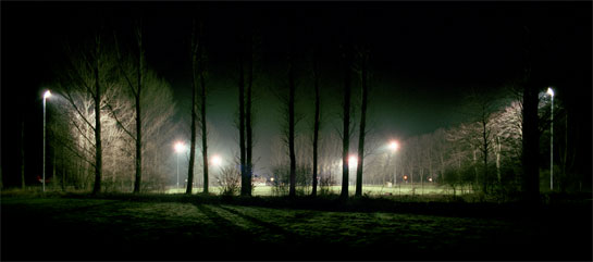 Green Fields - TSV Sielen