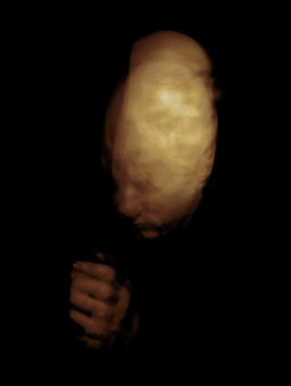 die schlafenden - portrait