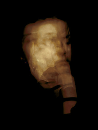 die schlafenden - portrait