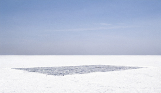 white fields