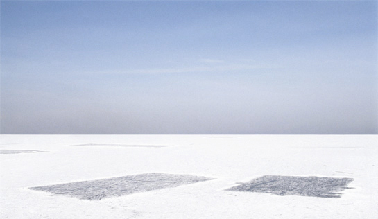 white fields