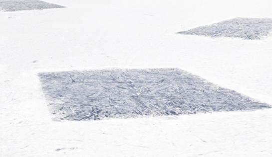 white fields
